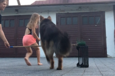 Kilka wakacyjnych dni w Siemiatyczach i Czartajewie